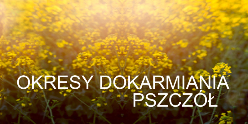 Okresy Dokarmiania Pszczol Das Bienenfutter